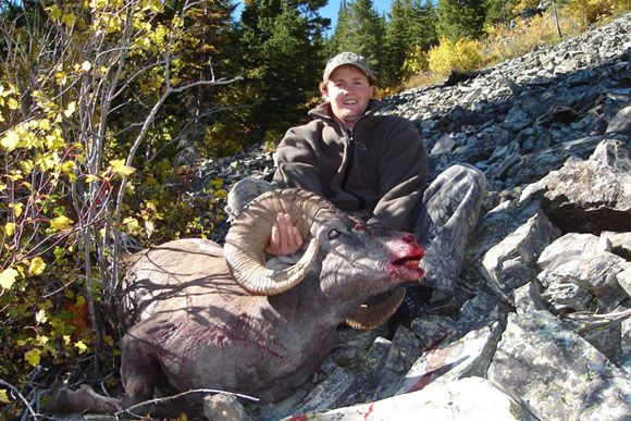 photo_301_sheep-guided-hunting-trips-in-british-columbia