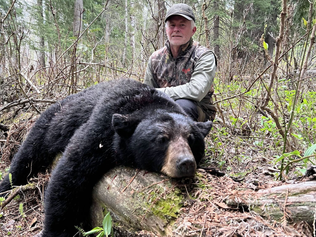 sawtoothBC-March24-Black-bear-IMG_5738-2000px-75p-edit